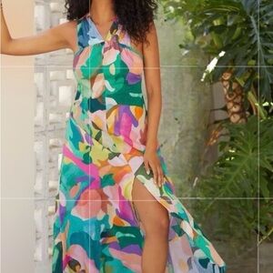 Naomi Reis for Anthro dress